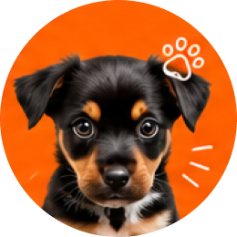 Puppies